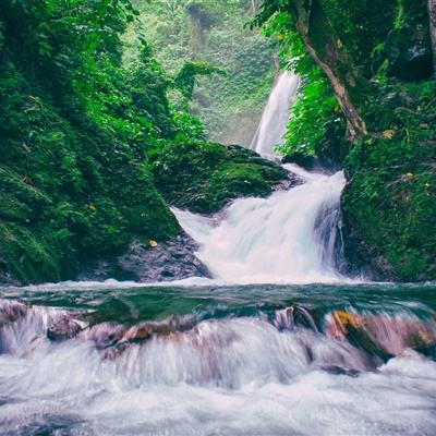 我的暑假世界中文版下载