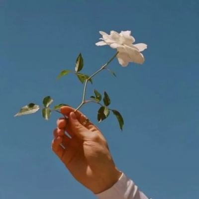 我的大冒险世界游戏下载